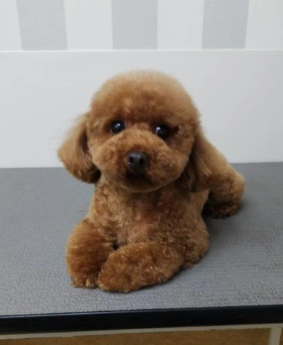 thumbnail_img_20190602_235824