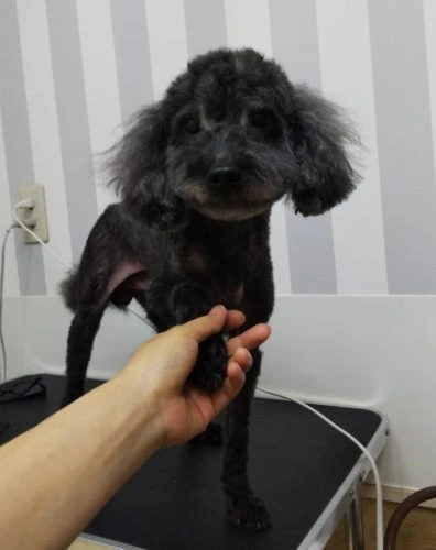 thumbnail_img_20190603_000606