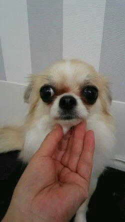 thumbnail_dsc_1120