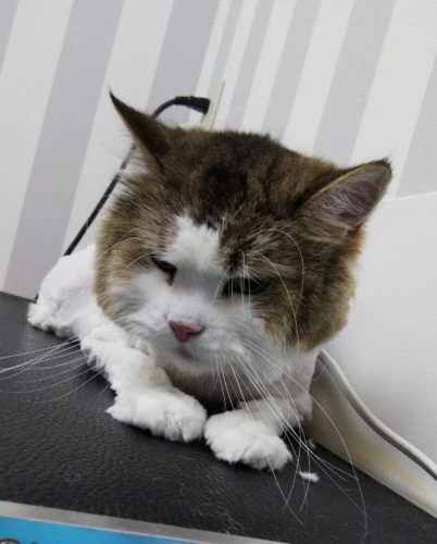 thumbnail_img_20190609_175533