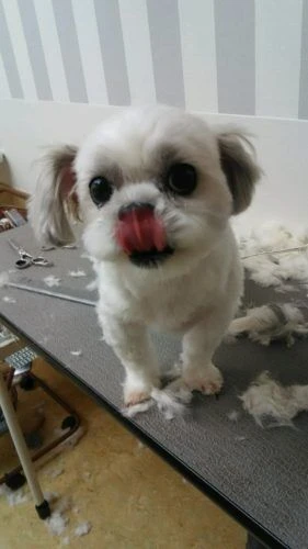 thumbnail_dsc_1225