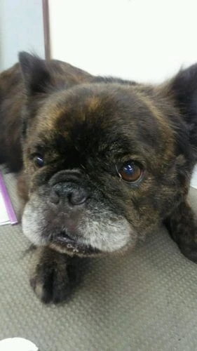 dsc_0011