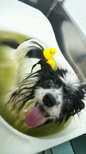 dsc_1575-1