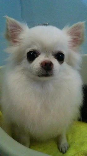 thumbnail_dsc_1708