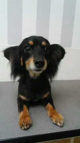 thumbnail_dsc_1705