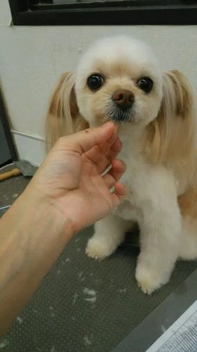 dsc_0002