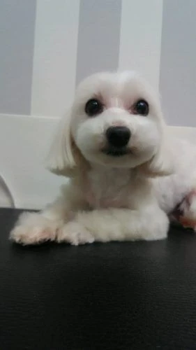 thumbnail_dsc_2124