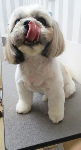 thumbnail_20190724_132835