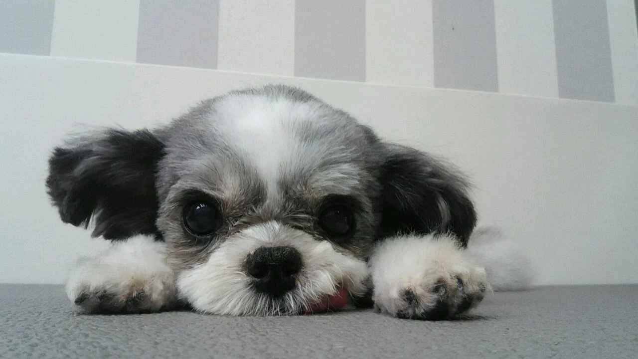 thumbnail_dsc_2508