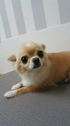 thumbnail_dsc_2515
