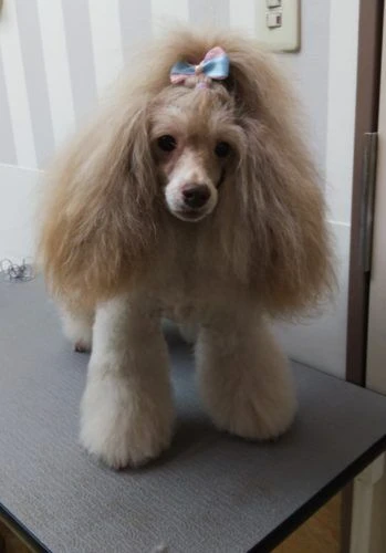thumbnail_img_20190728_175906