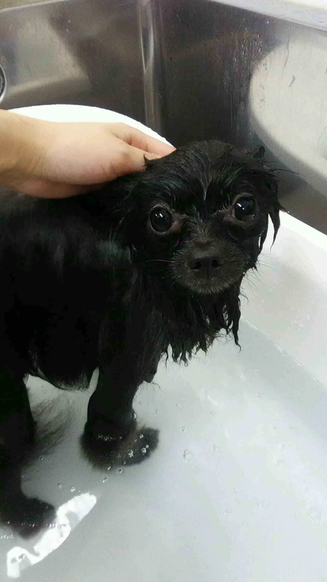 dsc_0008