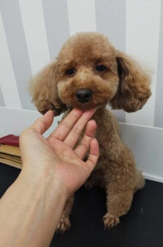 thumbnail_img_20190804_210404