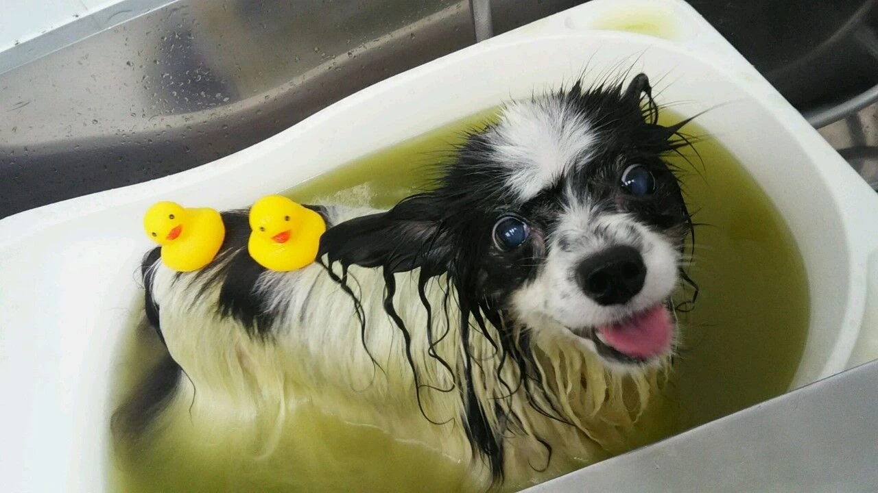 thumbnail_dsc_4396