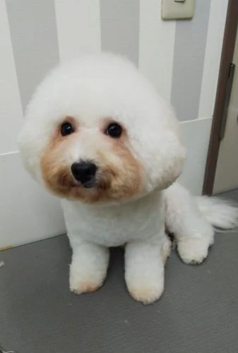 thumbnail_img_20190908_180420