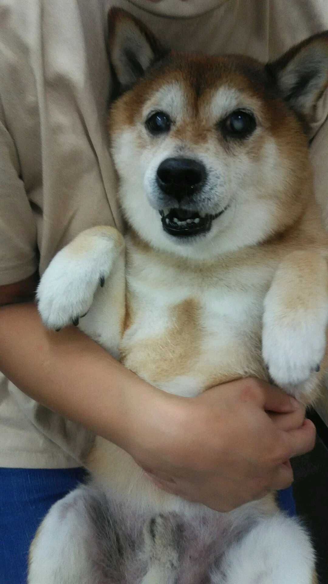 dsc_0006
