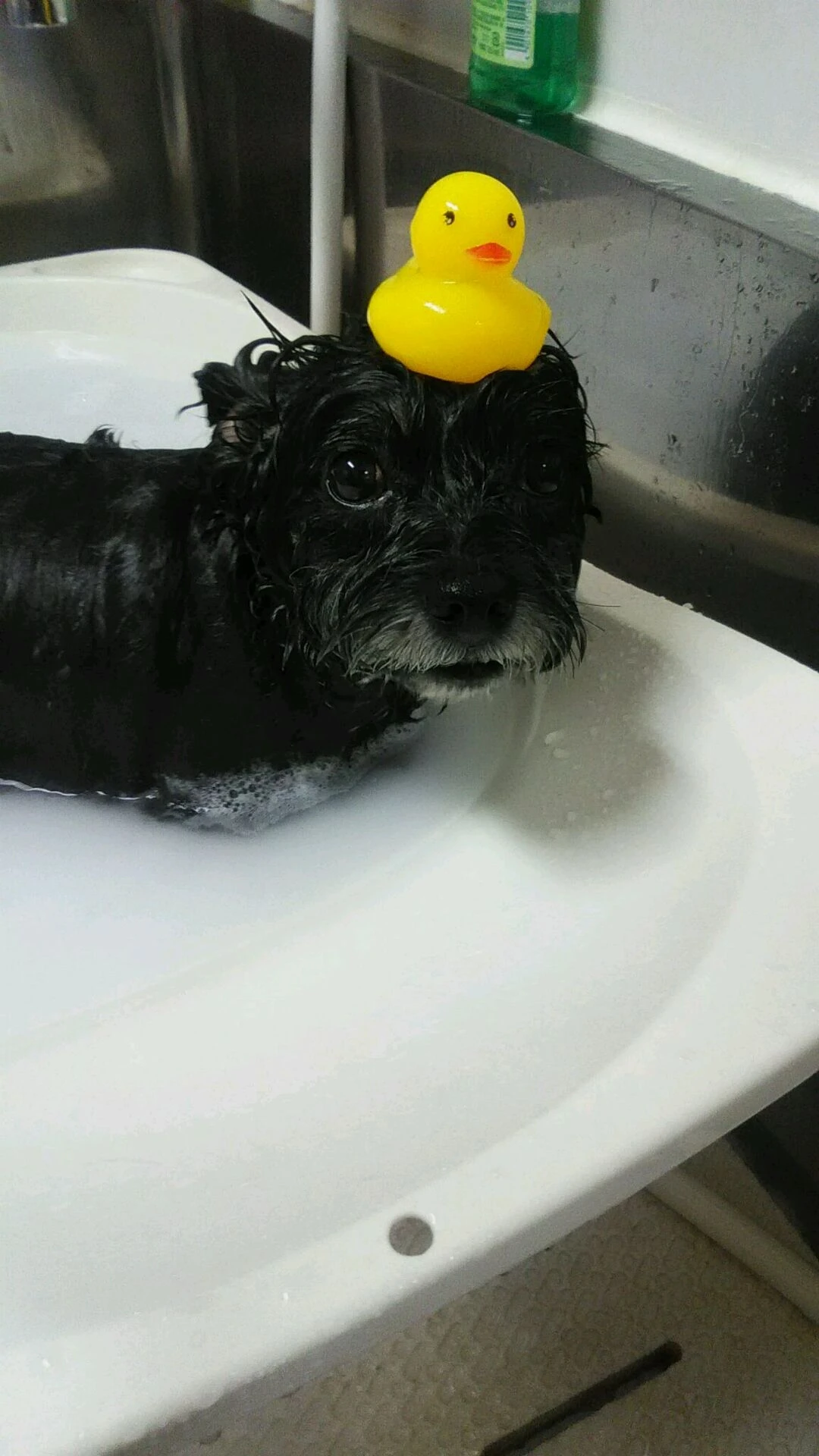 dsc_0014