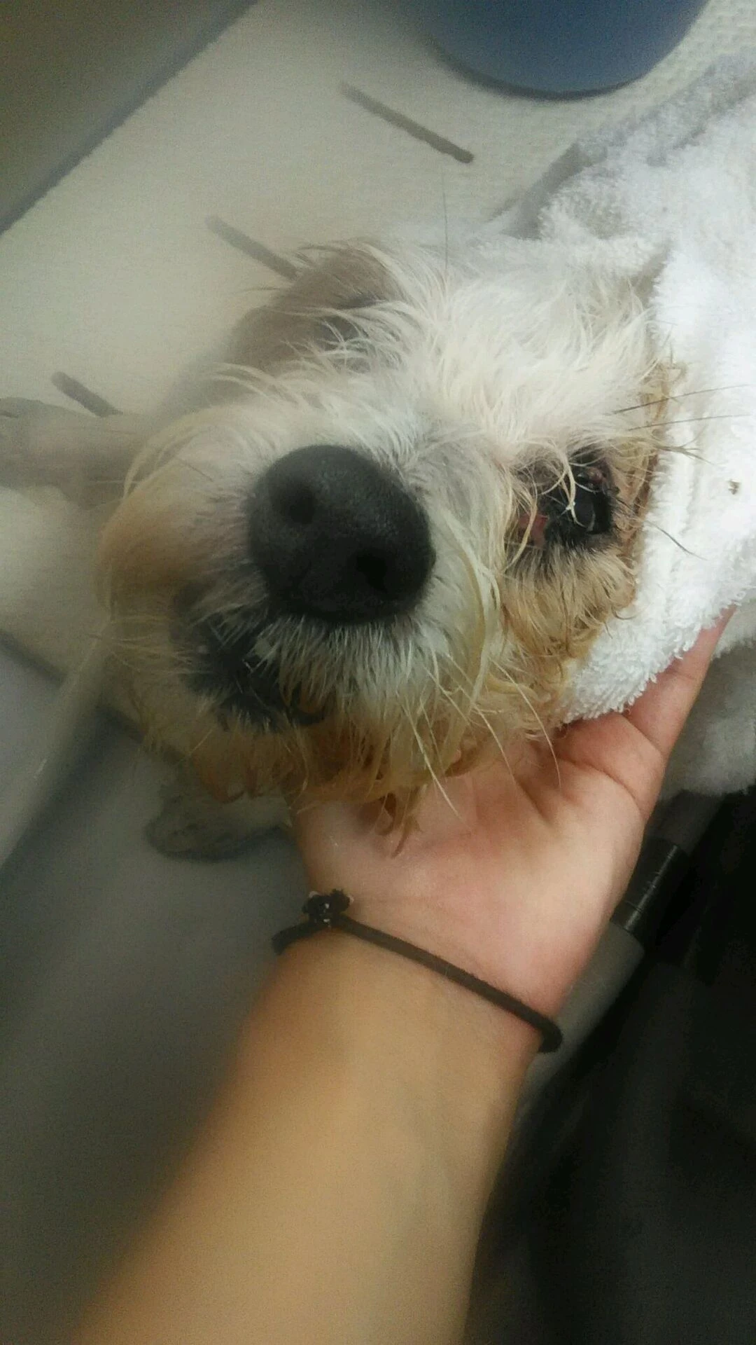 dsc_0006