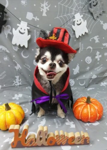 thumbnail_img_20191006_231339