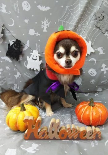thumbnail_img_20191015_233917