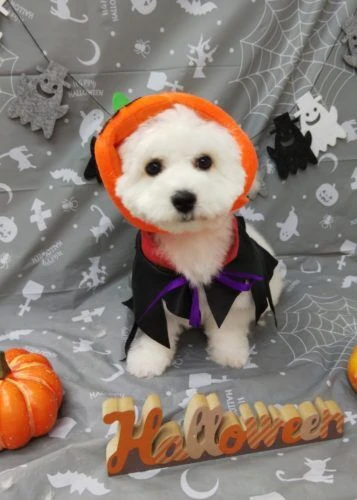 thumbnail_img_20191022_212128