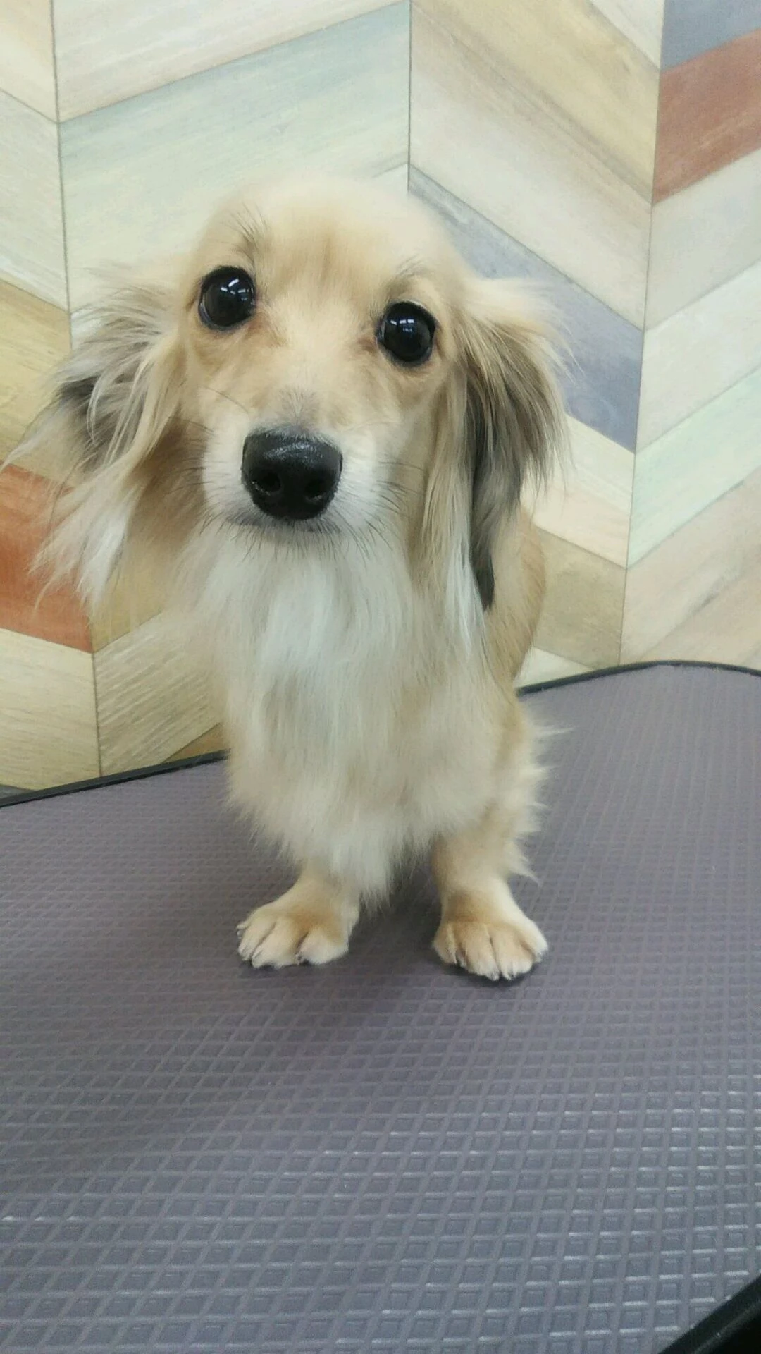 dsc_0007