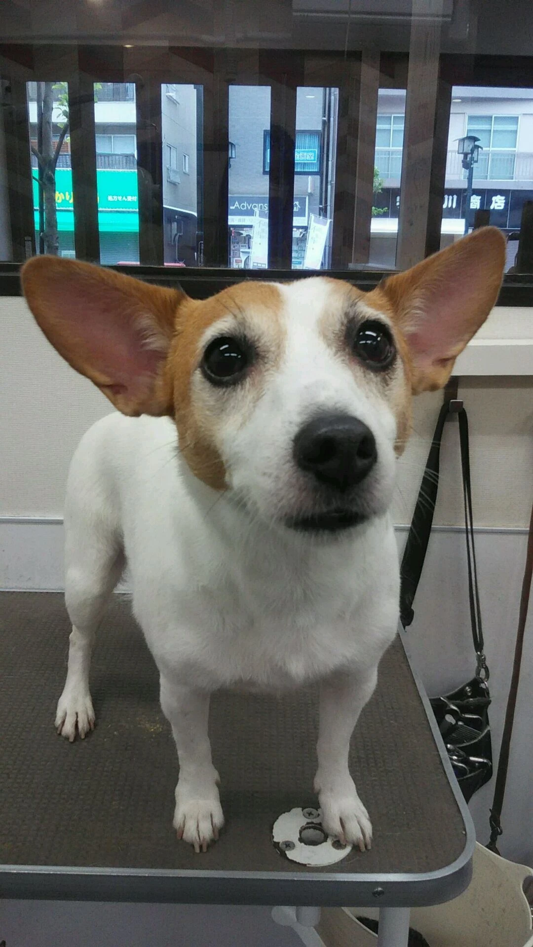 dsc_0055