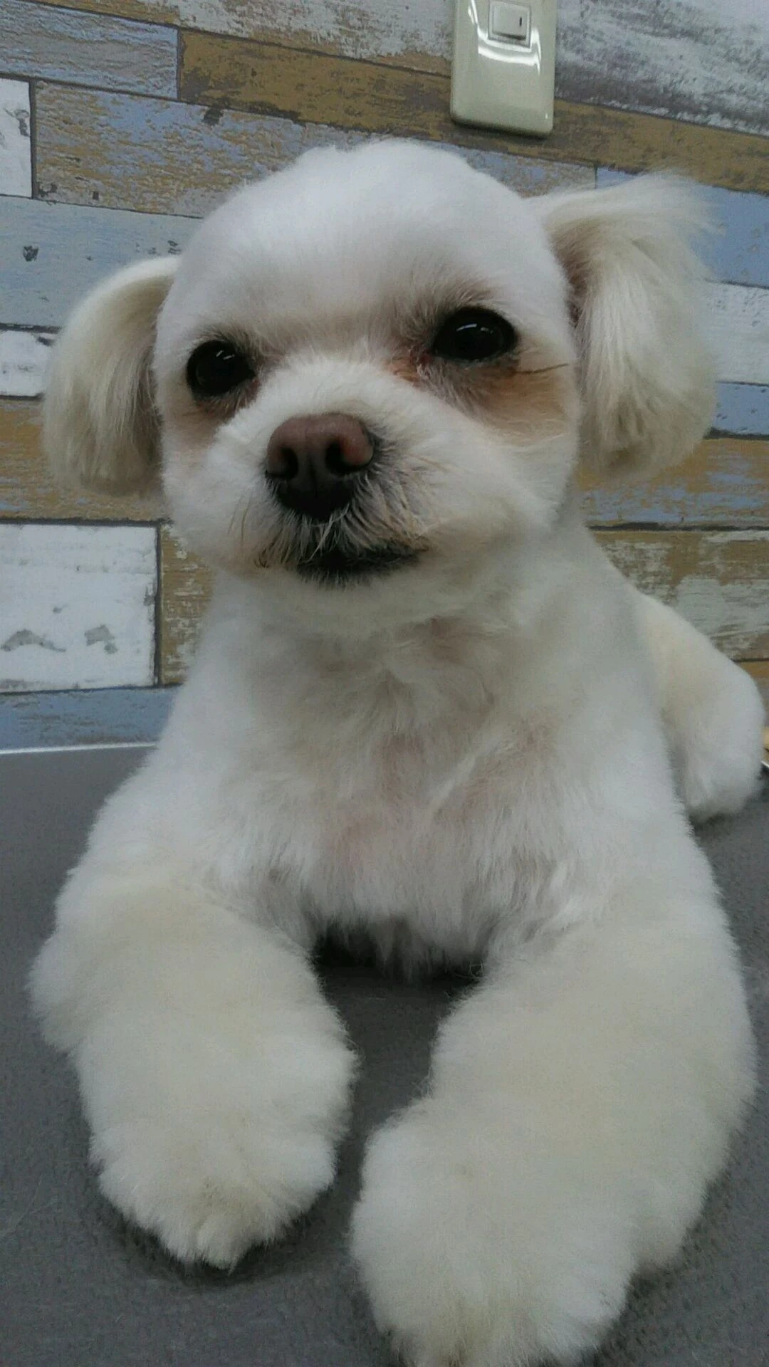 dsc_0010