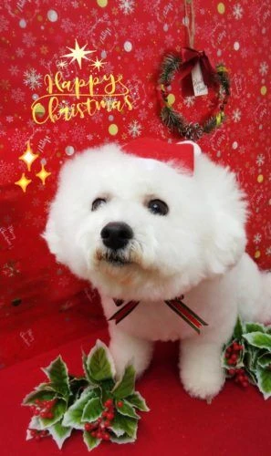 thumbnail_19-12-08-01-58-06-676_deco
