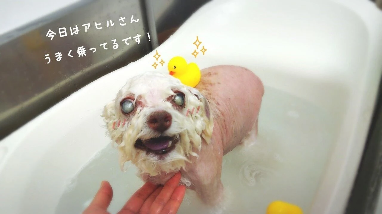 thumbnail_image2