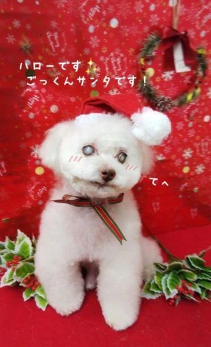 thumbnail_image3