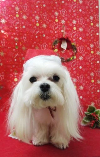 thumbnail_19-12-08-21-57-57-771_deco