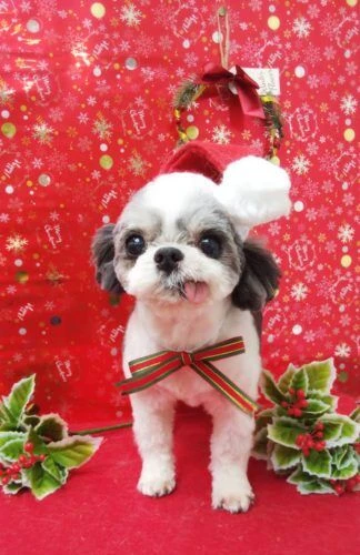 thumbnail_19-12-08-21-58-37-438_deco