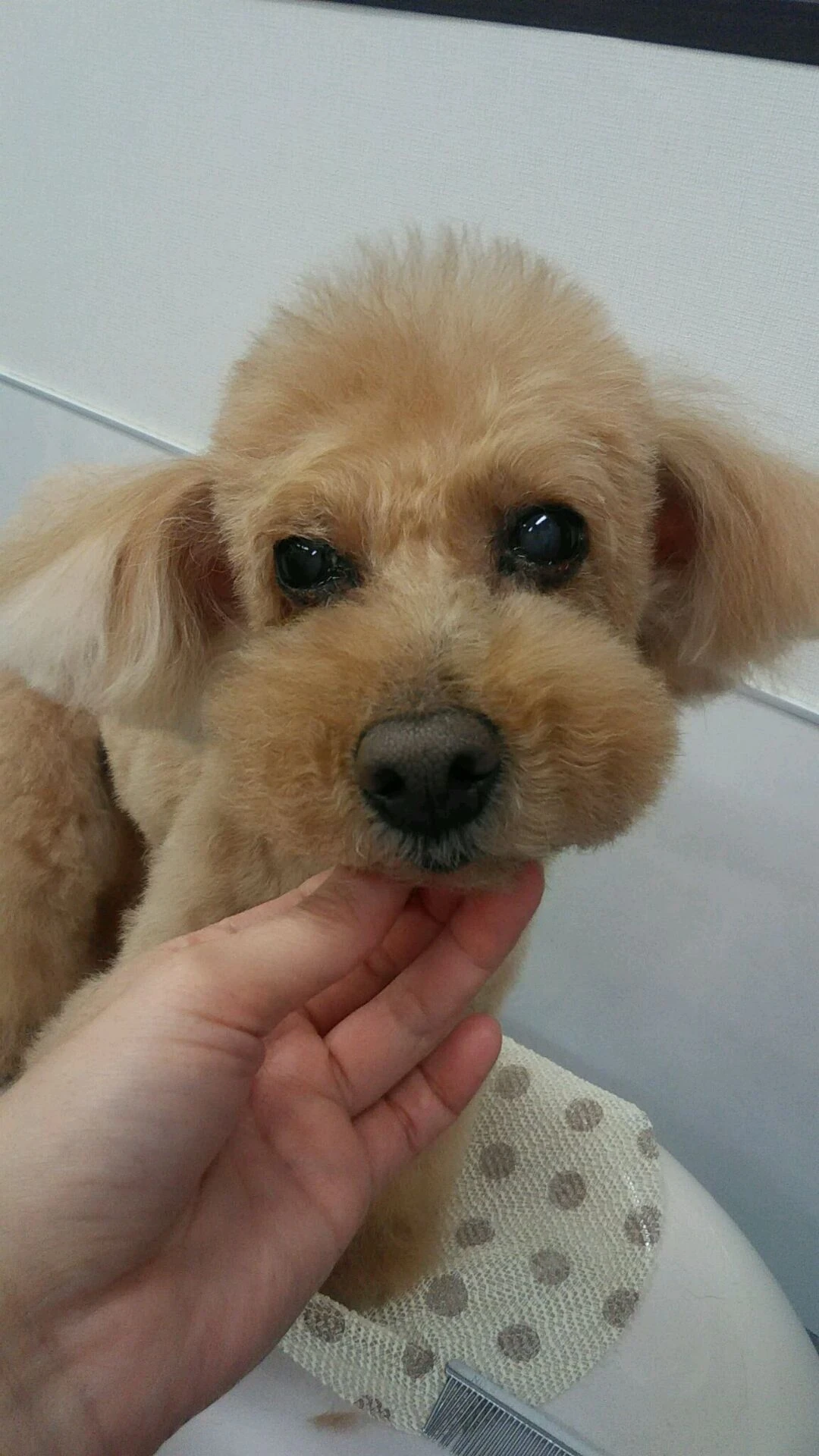 dsc_0017