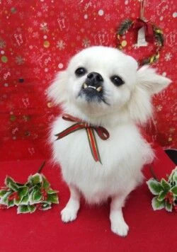thumbnail_img_20191210_173202