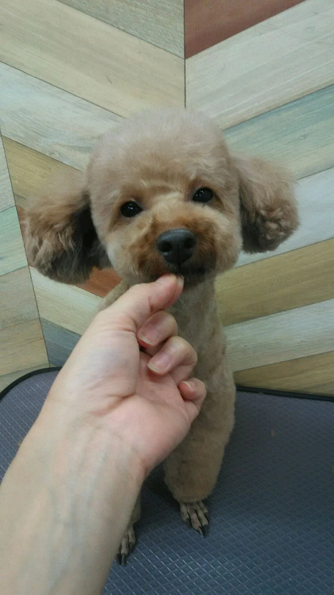 dsc_0010
