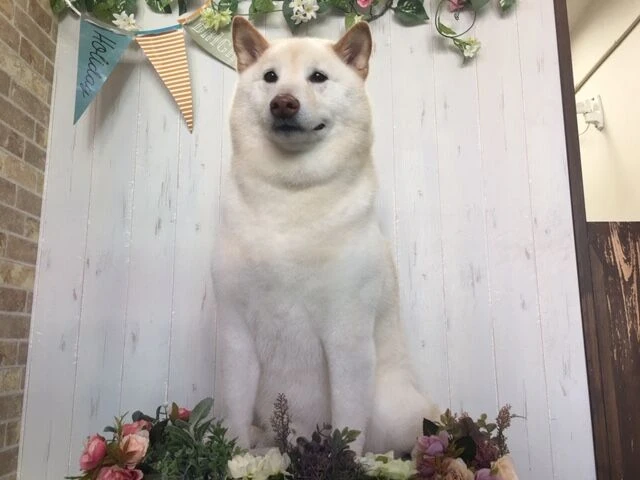 image0