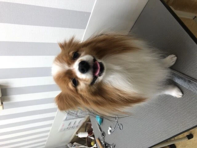 image0