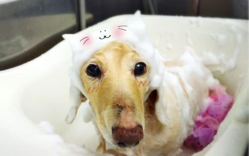 img_20200209_102858
