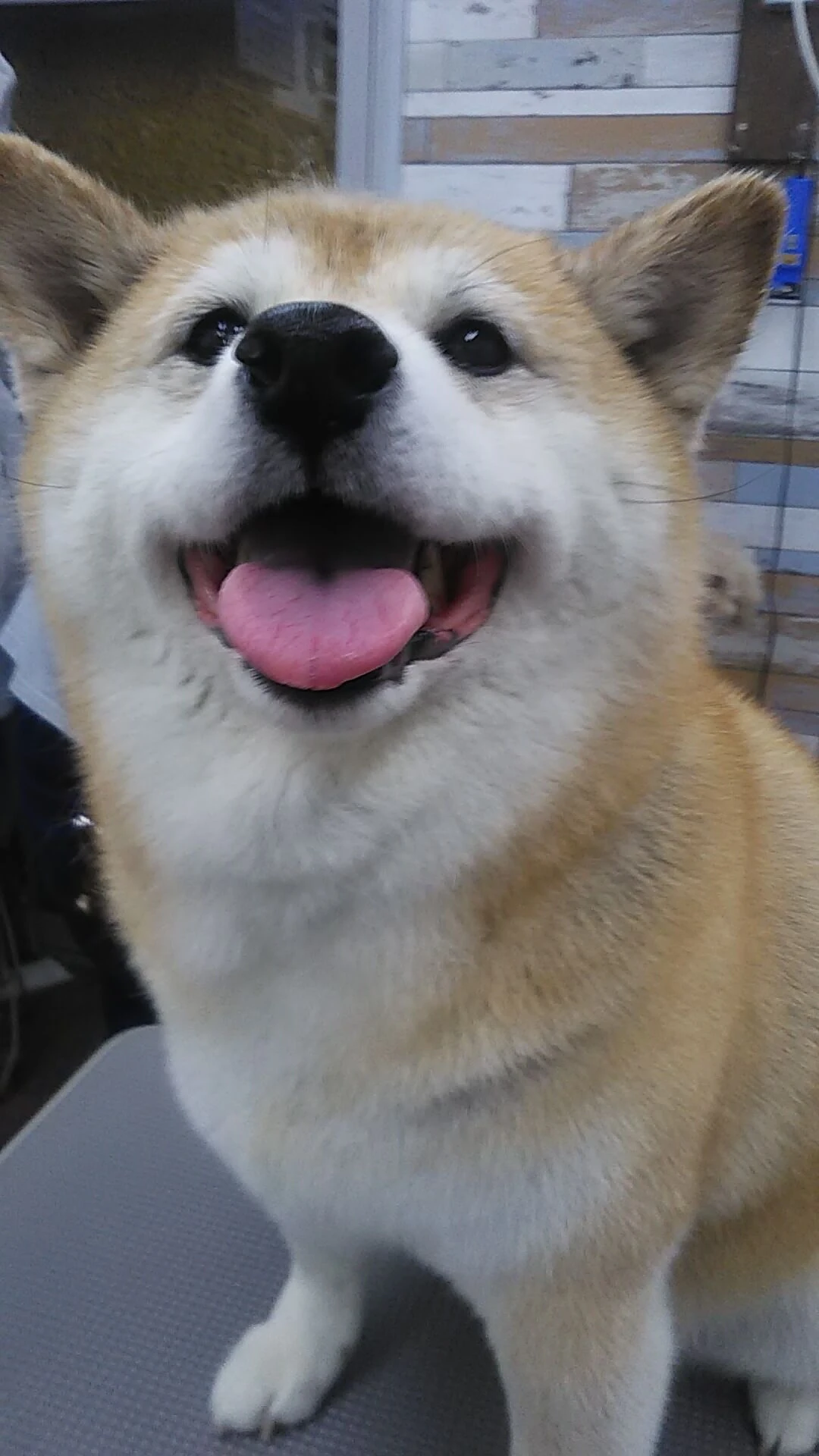 DSC_0005