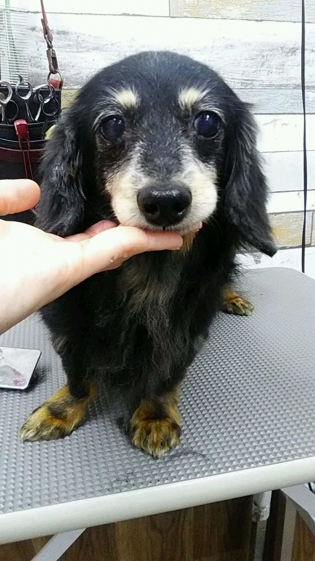 dsc_0015