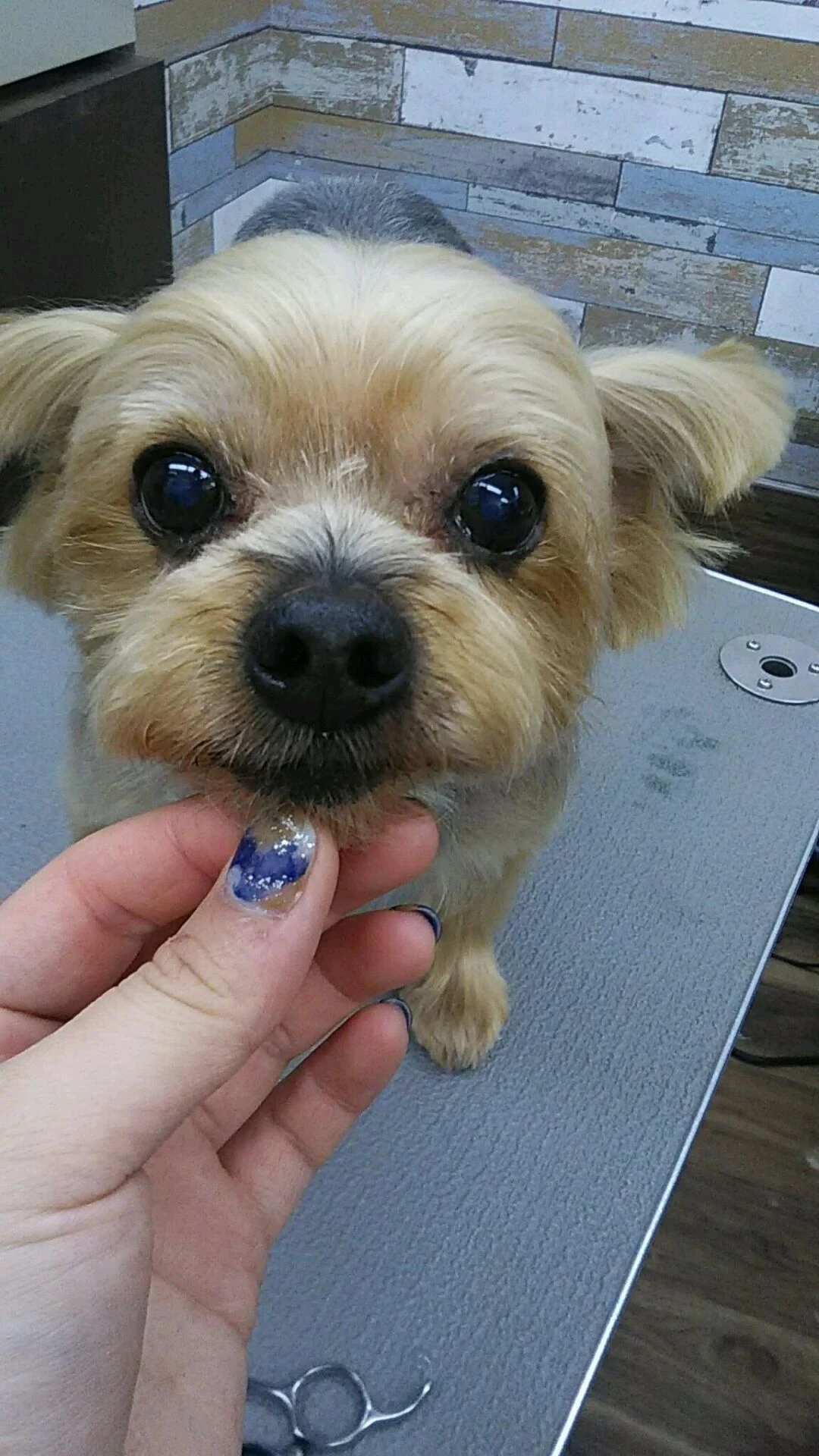 dsc_0034