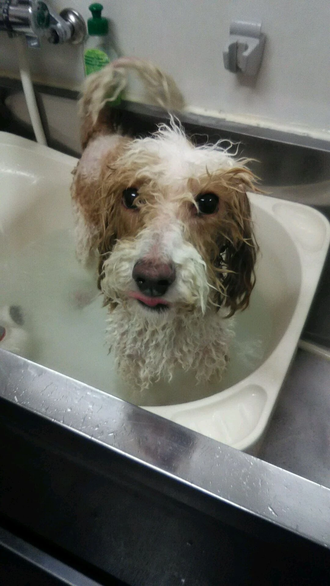 dsc_0001