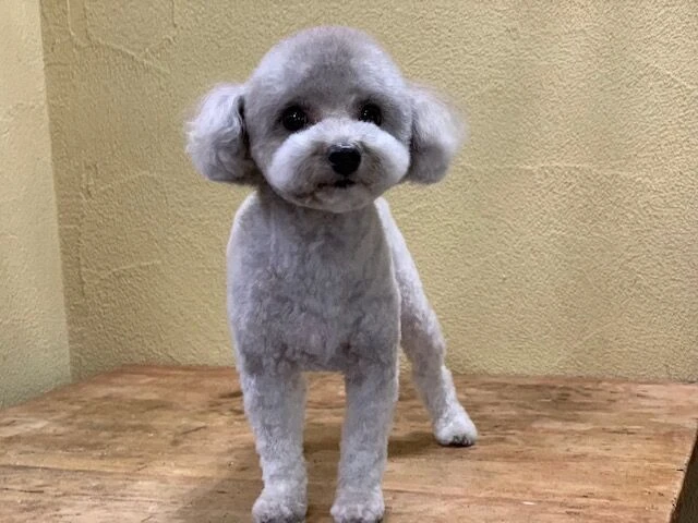 image0