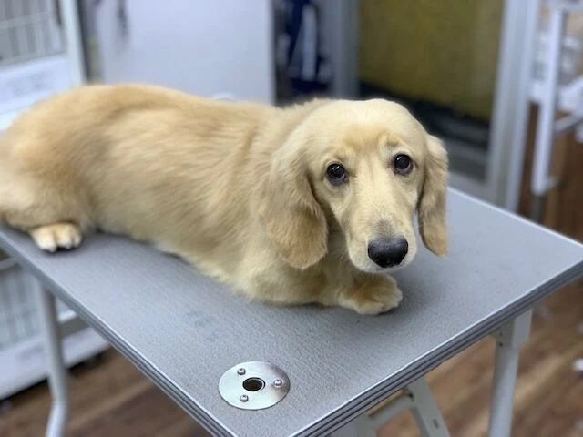 image0-3