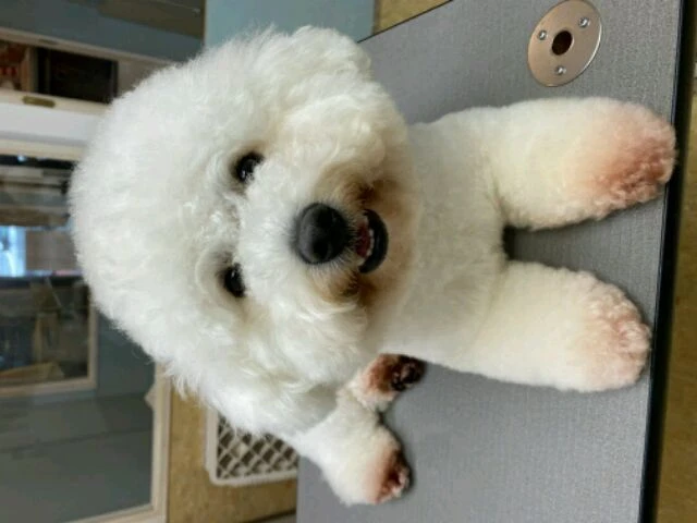 image0