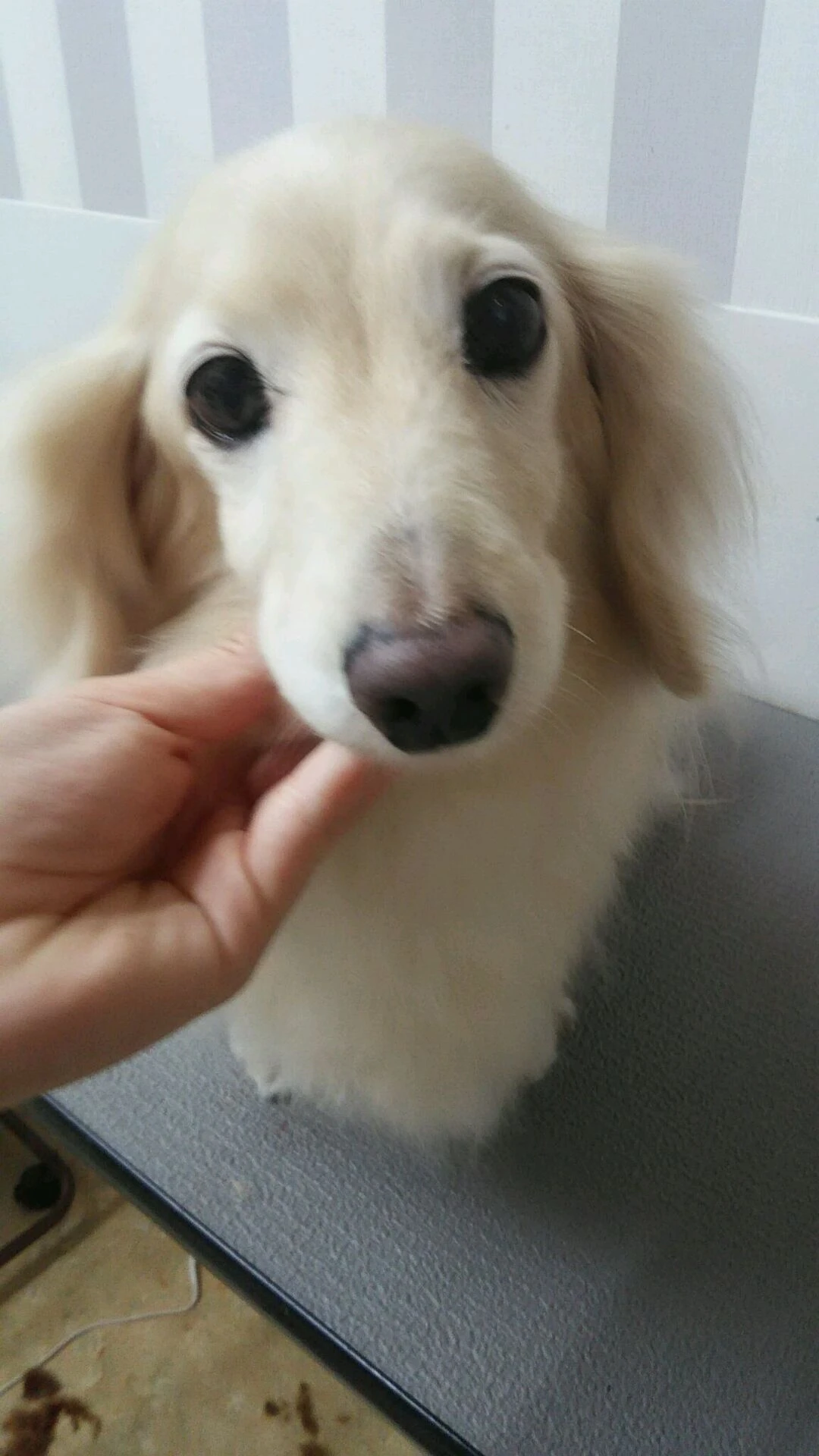 dsc_1706