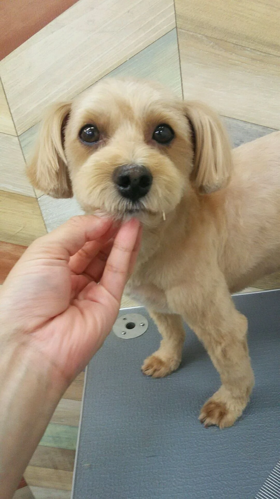 dsc_0021
