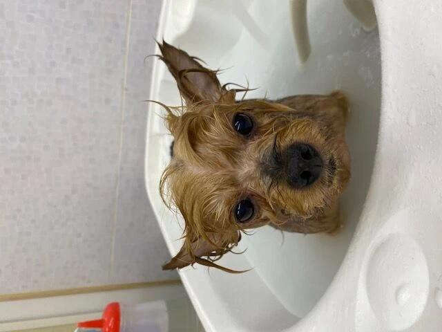 image1-2