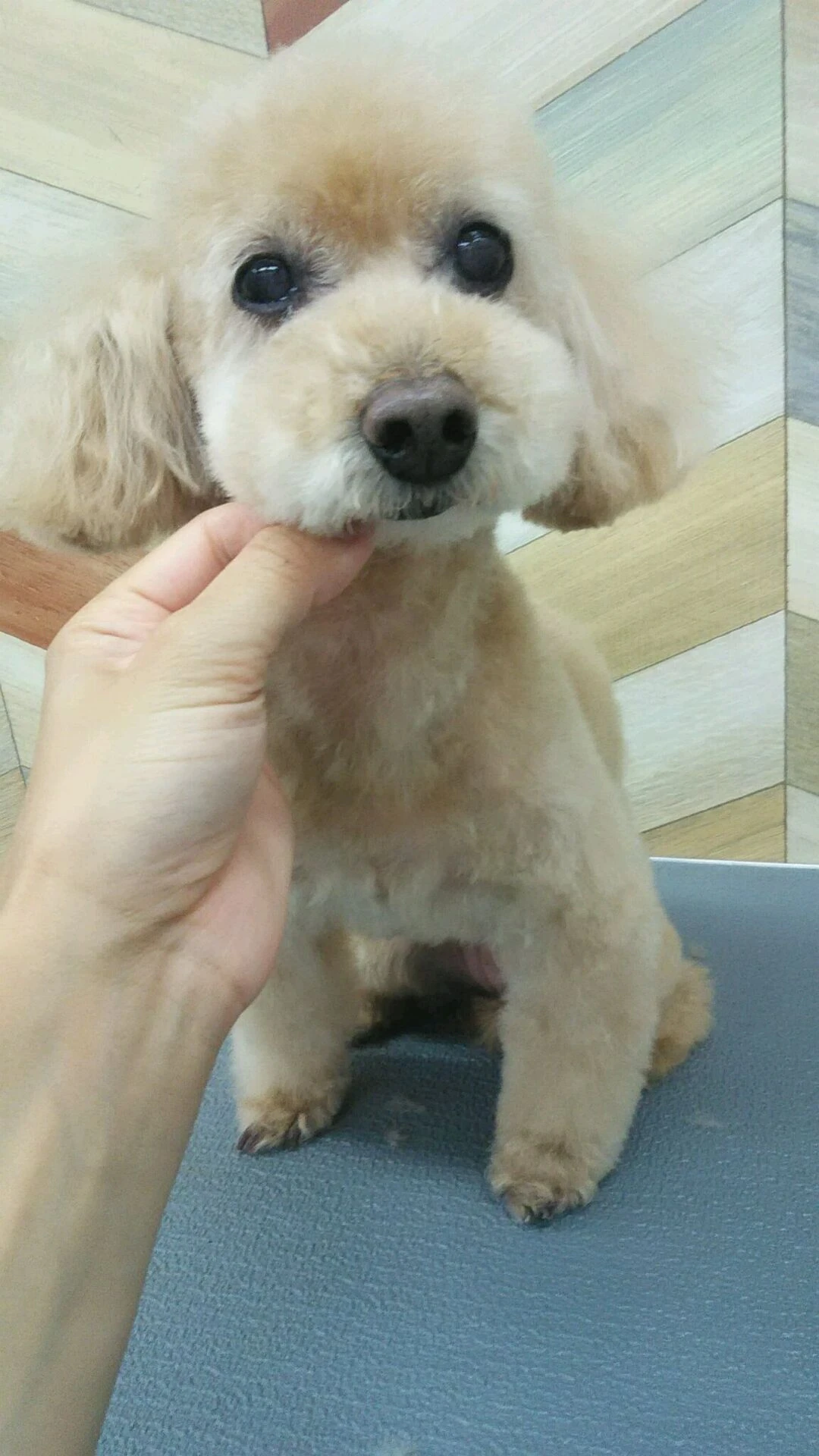 dsc_0010